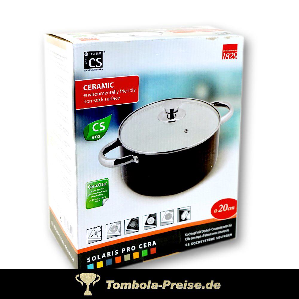 TreuePräsent Kochtopf mit Deckel 20 cm