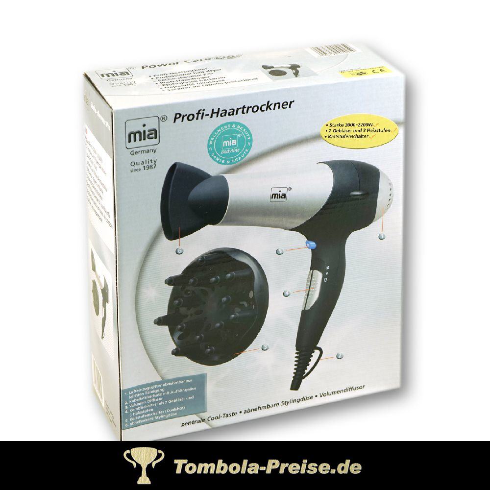 TreuePräsent Profi-Haartrockner