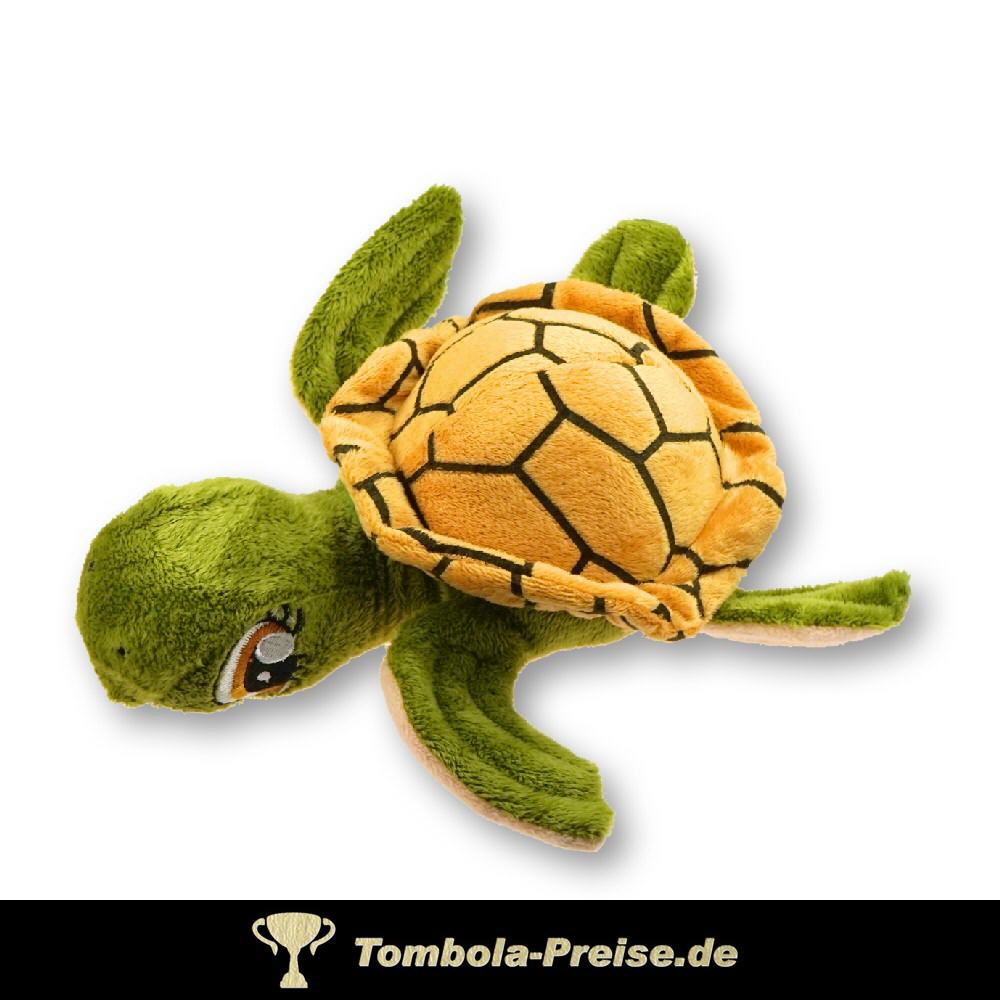 Baby-Schildkröte aus Plüsch